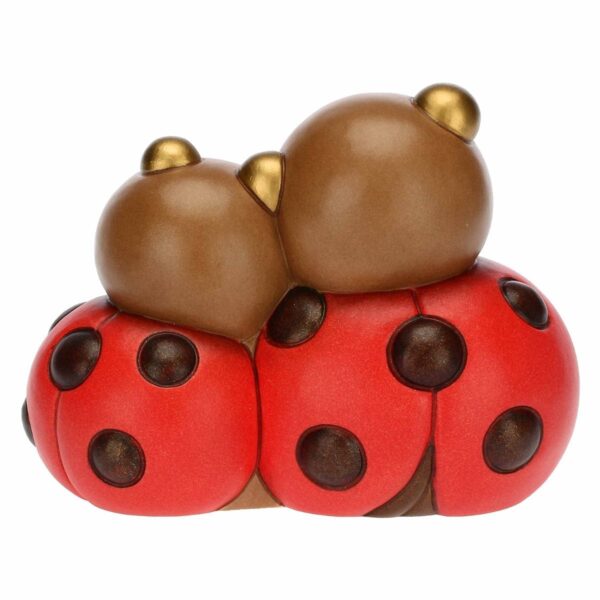 Coppia coccinelle con cuore - immagine 4