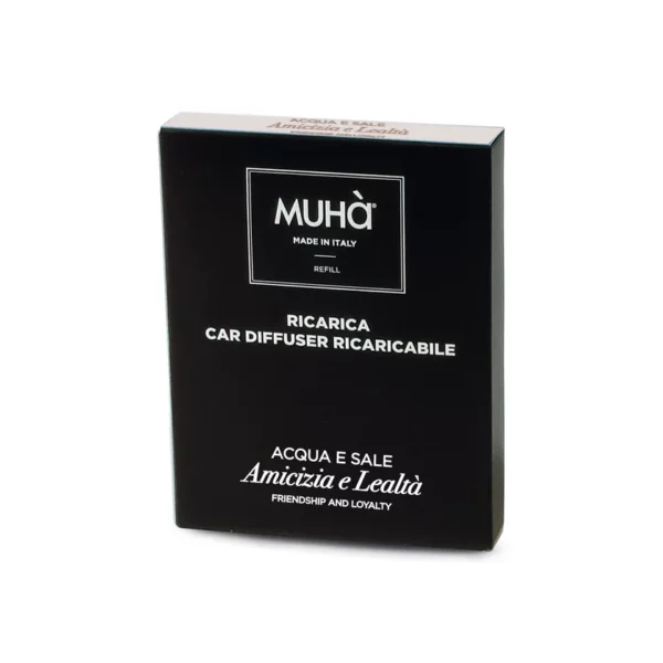 Ricarica Auto Acqua e Sale - immagine 3